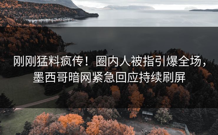 刚刚猛料疯传！圈内人被指引爆全场，墨西哥暗网紧急回应持续刷屏