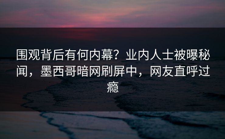 围观背后有何内幕？业内人士被曝秘闻，墨西哥暗网刷屏中，网友直呼过瘾
