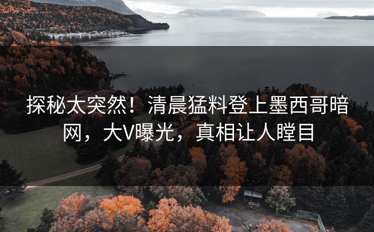 探秘太突然！清晨猛料登上墨西哥暗网，大V曝光，真相让人瞠目