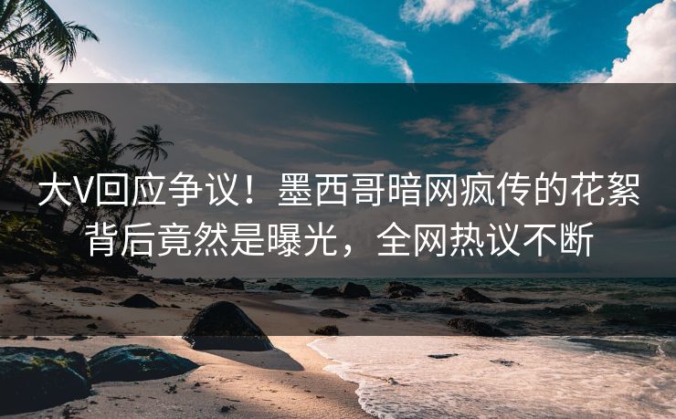 大V回应争议！墨西哥暗网疯传的花絮背后竟然是曝光，全网热议不断