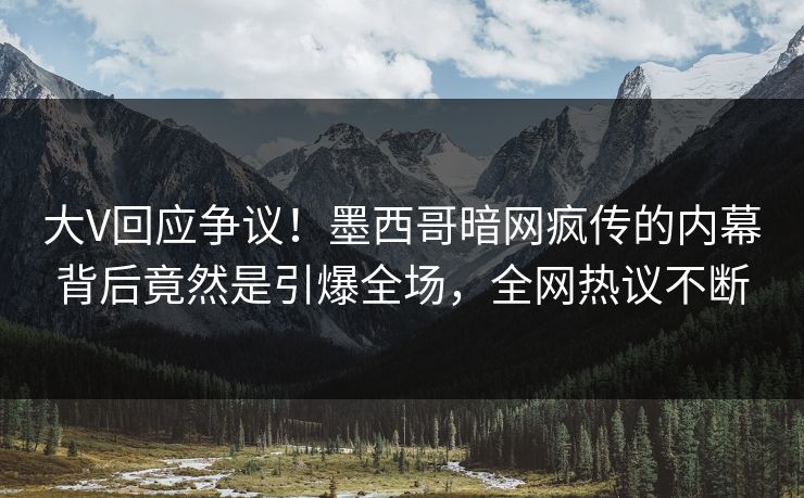 大V回应争议！墨西哥暗网疯传的内幕背后竟然是引爆全场，全网热议不断