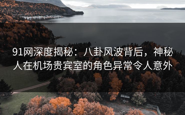 91网深度揭秘：八卦风波背后，神秘人在机场贵宾室的角色异常令人意外