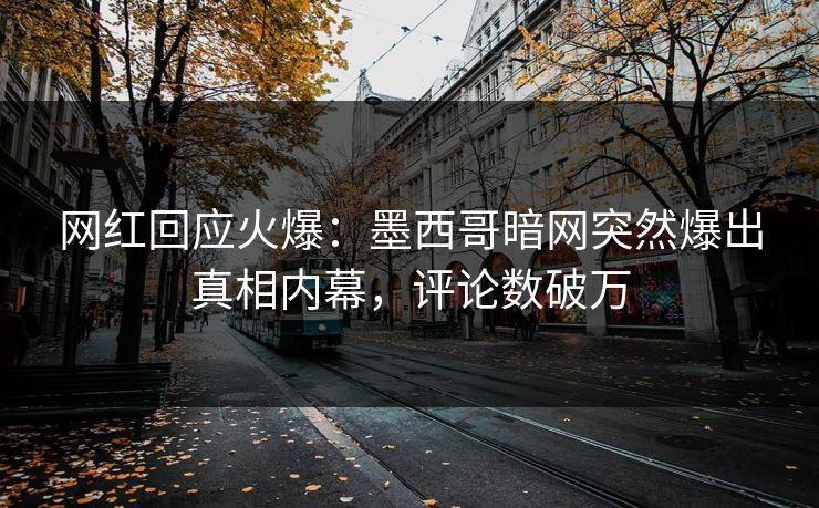 精心制造高良品质