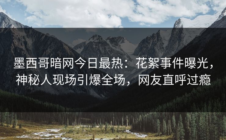 墨西哥暗网今日最热：花絮事件曝光，神秘人现场引爆全场，网友直呼过瘾