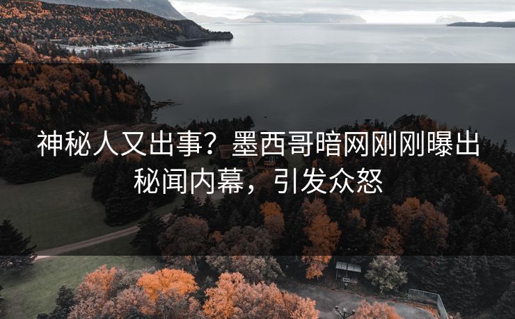 神秘人又出事？墨西哥暗网刚刚曝出秘闻内幕，引发众怒