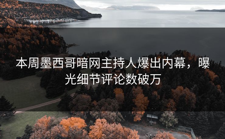 本周墨西哥暗网主持人爆出内幕，曝光细节评论数破万