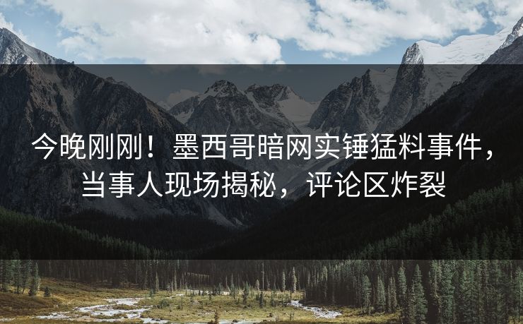今晚刚刚！墨西哥暗网实锤猛料事件，当事人现场揭秘，评论区炸裂