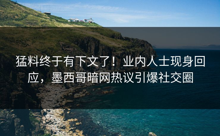 猛料终于有下文了！业内人士现身回应，墨西哥暗网热议引爆社交圈