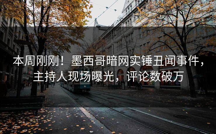 本周刚刚！墨西哥暗网实锤丑闻事件，主持人现场曝光，评论数破万