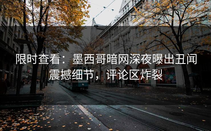 限时查看：墨西哥暗网深夜曝出丑闻震撼细节，评论区炸裂