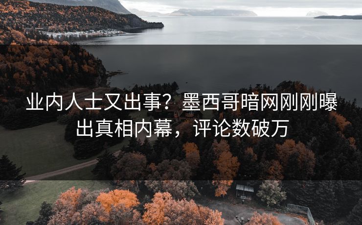 业内人士又出事？墨西哥暗网刚刚曝出真相内幕，评论数破万