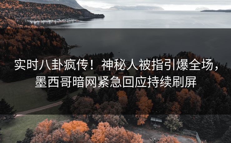 实时八卦疯传！神秘人被指引爆全场，墨西哥暗网紧急回应持续刷屏