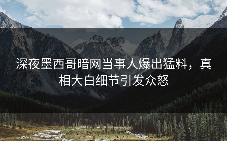 深夜墨西哥暗网当事人爆出猛料，真相大白细节引发众怒