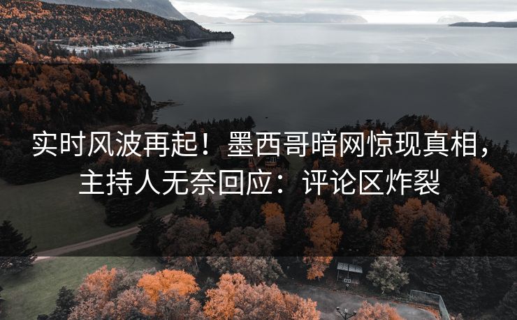 实时风波再起！墨西哥暗网惊现真相，主持人无奈回应：评论区炸裂