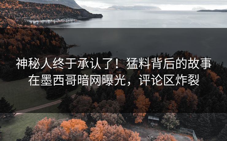 神秘人终于承认了！猛料背后的故事在墨西哥暗网曝光，评论区炸裂