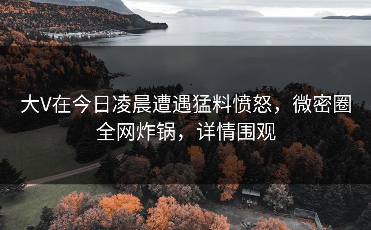 大V在今日凌晨遭遇猛料愤怒，微密圈全网炸锅，详情围观