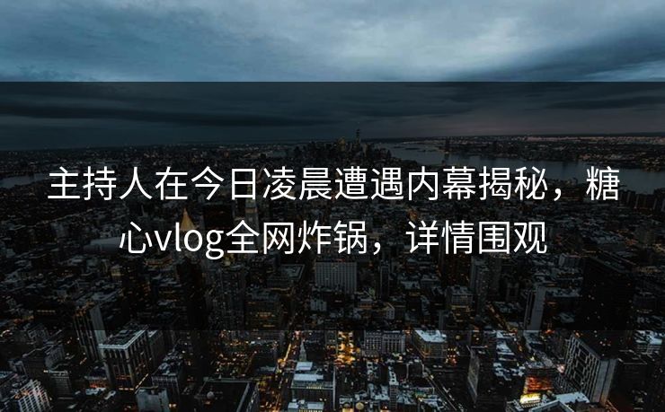 主持人在今日凌晨遭遇内幕揭秘，糖心vlog全网炸锅，详情围观